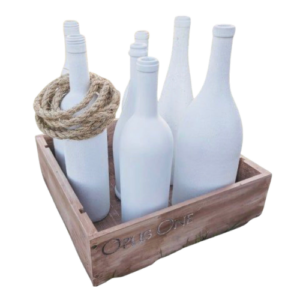Bottle Ring Toss