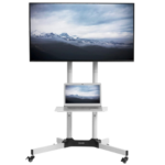 55" TV w/ Portable Stand